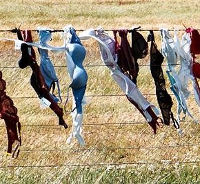Le jour où j’ai commencé à vouloir brûler mes brassières Le jour où j’ai commencé à vouloir brûler mes brassières